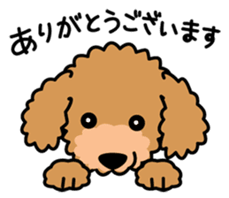 Cute! Poodle Stickers sticker #10396718