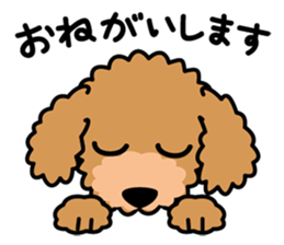 Cute! Poodle Stickers sticker #10396725