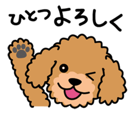 Cute! Poodle Stickers sticker #10396726