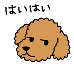 Cute! Poodle Stickers sticker #10396743