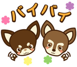 Chihuahua Brother's - Shiyairo & Tramp sticker #10397825