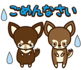 Chihuahua Brother's - Shiyairo & Tramp sticker #10397827