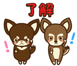 Chihuahua Brother's - Shiyairo & Tramp sticker #10397832