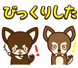 Chihuahua Brother's - Shiyairo & Tramp sticker #10397836
