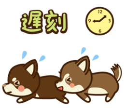 Chihuahua Brother's - Shiyairo & Tramp sticker #10397837