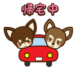 Chihuahua Brother's - Shiyairo & Tramp sticker #10397839
