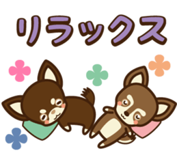 Chihuahua Brother's - Shiyairo & Tramp sticker #10397840
