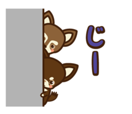 Chihuahua Brother's - Shiyairo & Tramp sticker #10397842