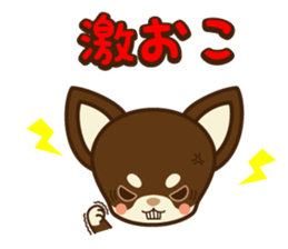 Chihuahua Brother's - Shiyairo & Tramp sticker #10397845