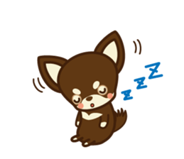 Chihuahua Brother's - Shiyairo & Tramp sticker #10397846