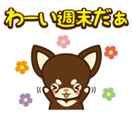 Chihuahua Brother's - Shiyairo & Tramp sticker #10397849