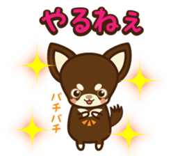Chihuahua Brother's - Shiyairo & Tramp sticker #10397852