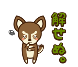 Chihuahua Brother's - Shiyairo & Tramp sticker #10397854