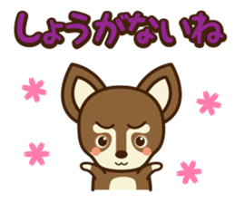 Chihuahua Brother's - Shiyairo & Tramp sticker #10397858