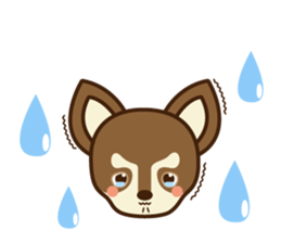Chihuahua Brother's - Shiyairo & Tramp sticker #10397863