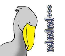 Everyday Conversation with Shoebill sticker #10399478
