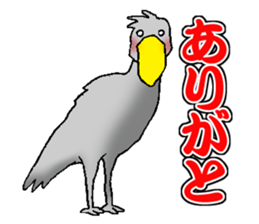 Everyday Conversation with Shoebill sticker #10399479