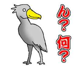 Everyday Conversation with Shoebill sticker #10399486
