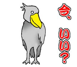 Everyday Conversation with Shoebill sticker #10399488