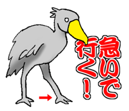 Everyday Conversation with Shoebill sticker #10399496