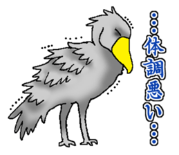 Everyday Conversation with Shoebill sticker #10399498