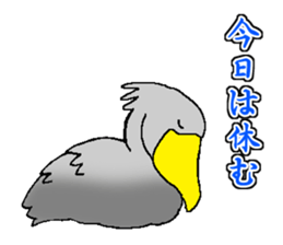 Everyday Conversation with Shoebill sticker #10399499