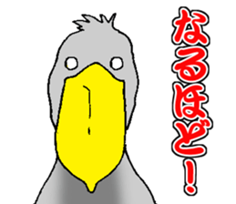 Everyday Conversation with Shoebill sticker #10399506