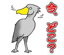 Everyday Conversation with Shoebill sticker #10399507
