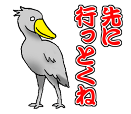 Everyday Conversation with Shoebill sticker #10399508
