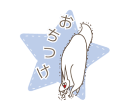 Happiness of the "knob cat", "Michiko" sticker #10400765