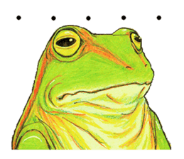 Ama-frogs sticker #10401712