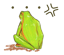 Ama-frogs sticker #10401720