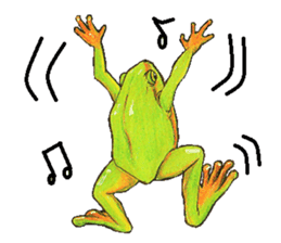 Ama-frogs sticker #10401722