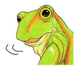 Ama-frogs sticker #10401723