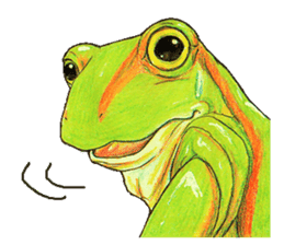 Ama-frogs sticker #10401723