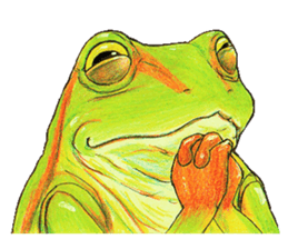 Ama-frogs sticker #10401724