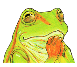 Ama-frogs sticker #10401724