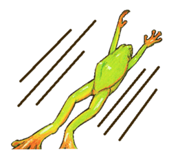 Ama-frogs sticker #10401725