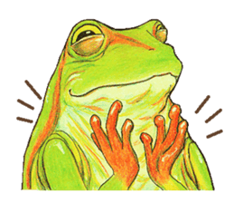 Ama-frogs sticker #10401726