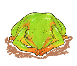 Ama-frogs sticker #10401729