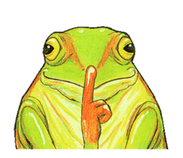 Ama-frogs sticker #10401732