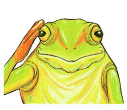 Ama-frogs sticker #10401733