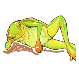 Ama-frogs sticker #10401735