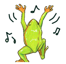 Ama-frogs sticker #10401741