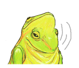Ama-frogs sticker #10401748