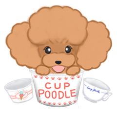 CUP POODLE