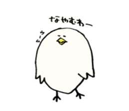 cool  bird sticker #10406941