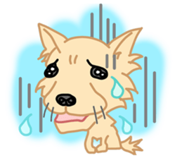 HUJIYAMA cat sticker #10407062