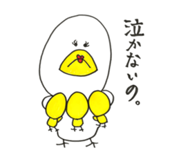 Life of chicken. Oh..so cute. sticker #10407709