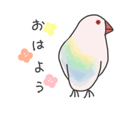 Aurora paddybird sticker #10409592